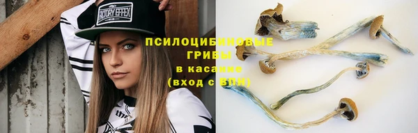 герыч Приозерск