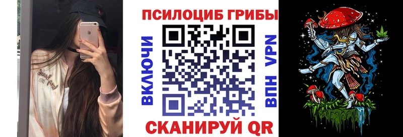 Псилоцибиновые грибы Psilocybe кракен Советск