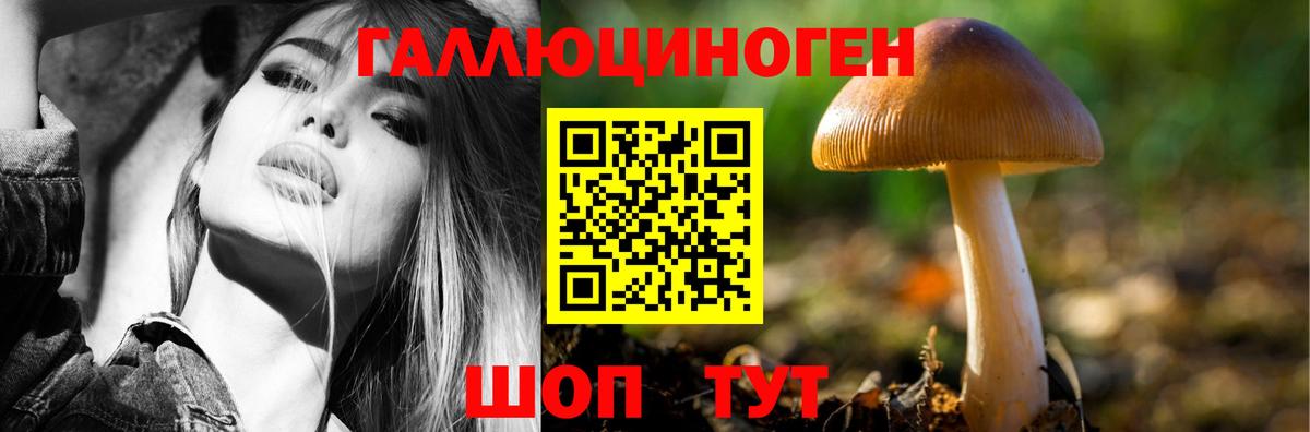 Галлюциногенные грибы GOLDEN TEACHER Советск