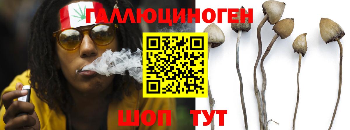 Советск  Псилоцибиновые грибы GOLDEN TEACHER  Вход с VPN 